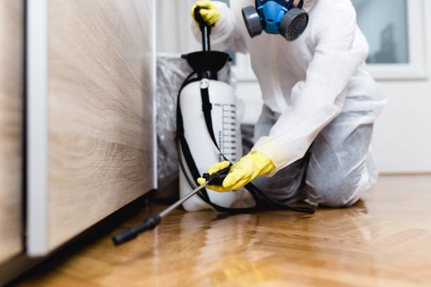 Wildlife Control Services in Destrehan, LA