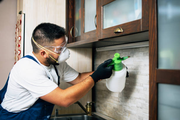 Best Bed Bug Extermination  in Destrehan, LA