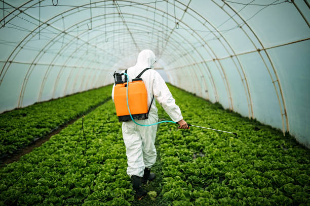 Best Affordable Pest Control Services  in Destrehan, LA
