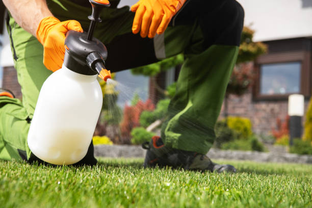 Best Wasp Removal Services  in Destrehan, LA