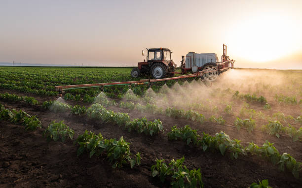 Best Pest Prevention Services  in Destrehan, LA