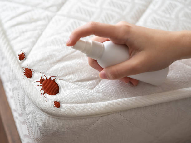 Best Pest Control Treatment  in Destrehan, LA