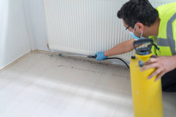 Best Pest Control Near Me  in Destrehan, LA