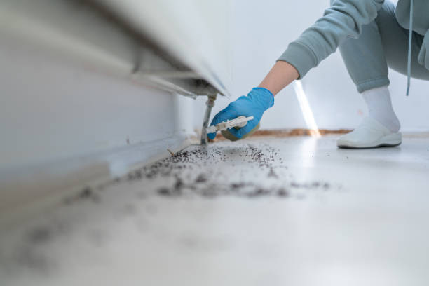 Pest Prevention Services in Destrehan, LA
