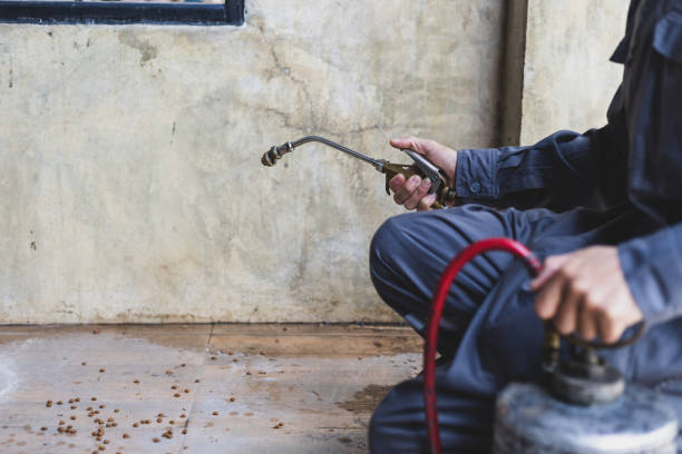 Best Emergency Pest Control  in Destrehan, LA